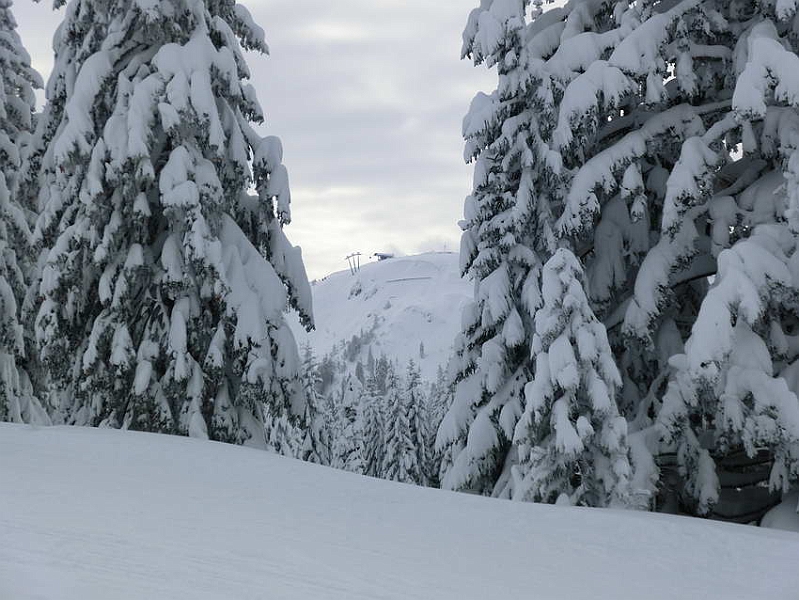 5-Dachstein West 038